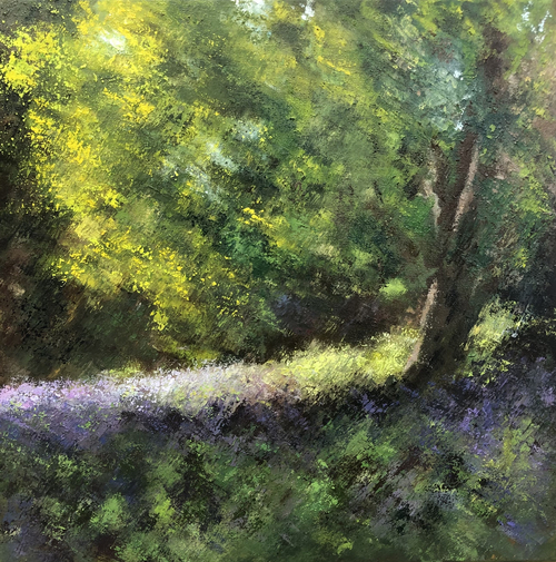 Bluebell Woods II