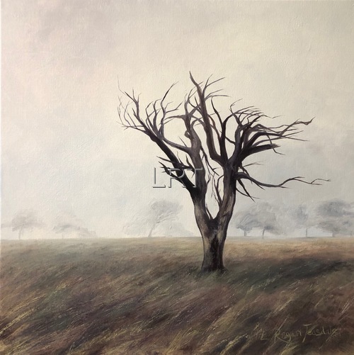 Windswept tree on a misty fell - SOLD